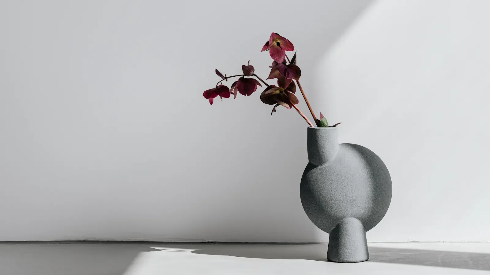 Vase de fleur sur un mur blanc, rai de lumière naturelle
