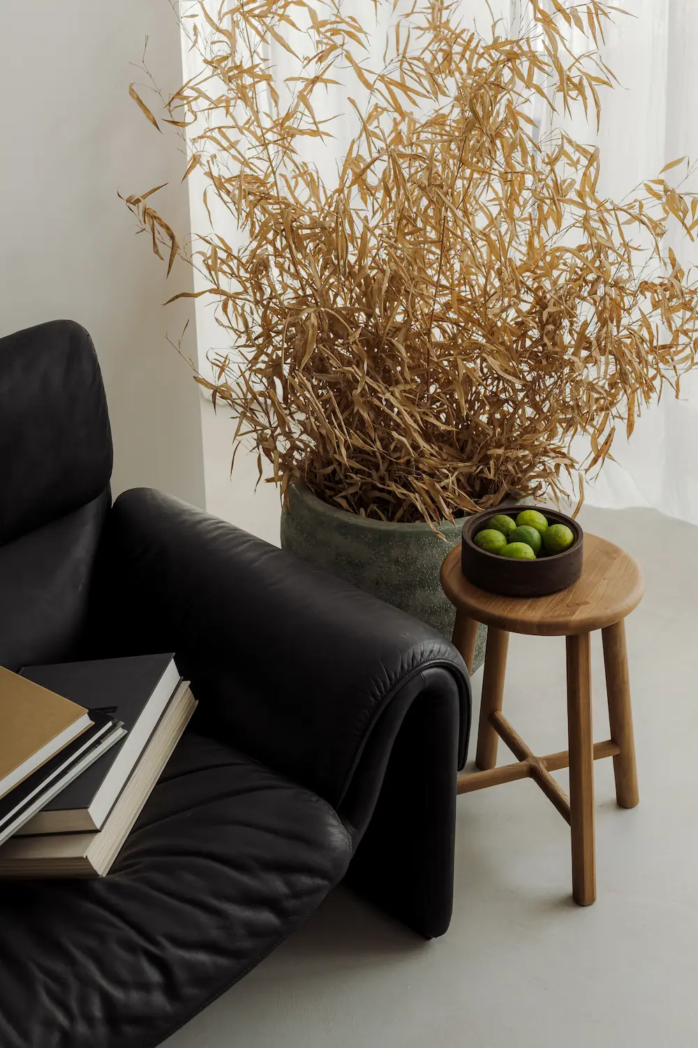 Fauteuil design avec un bambou séché